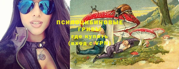 прущая мука Горняк