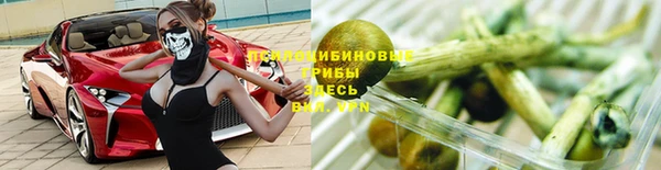 прущая мука Горняк