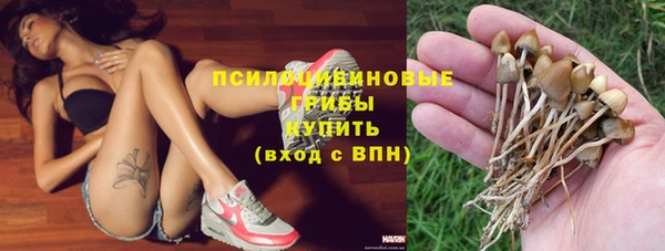мяу мяу мука Гусиноозёрск