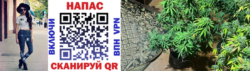 Купить закладки  Каменск-Шахтинский  МАРИХУАНА планчик 